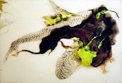For Immediate Release: Lana Santorelli Gallery: Thaw, March 12th, 2009